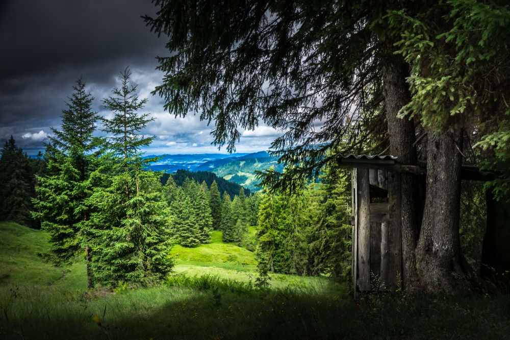 Unglert A room with a view